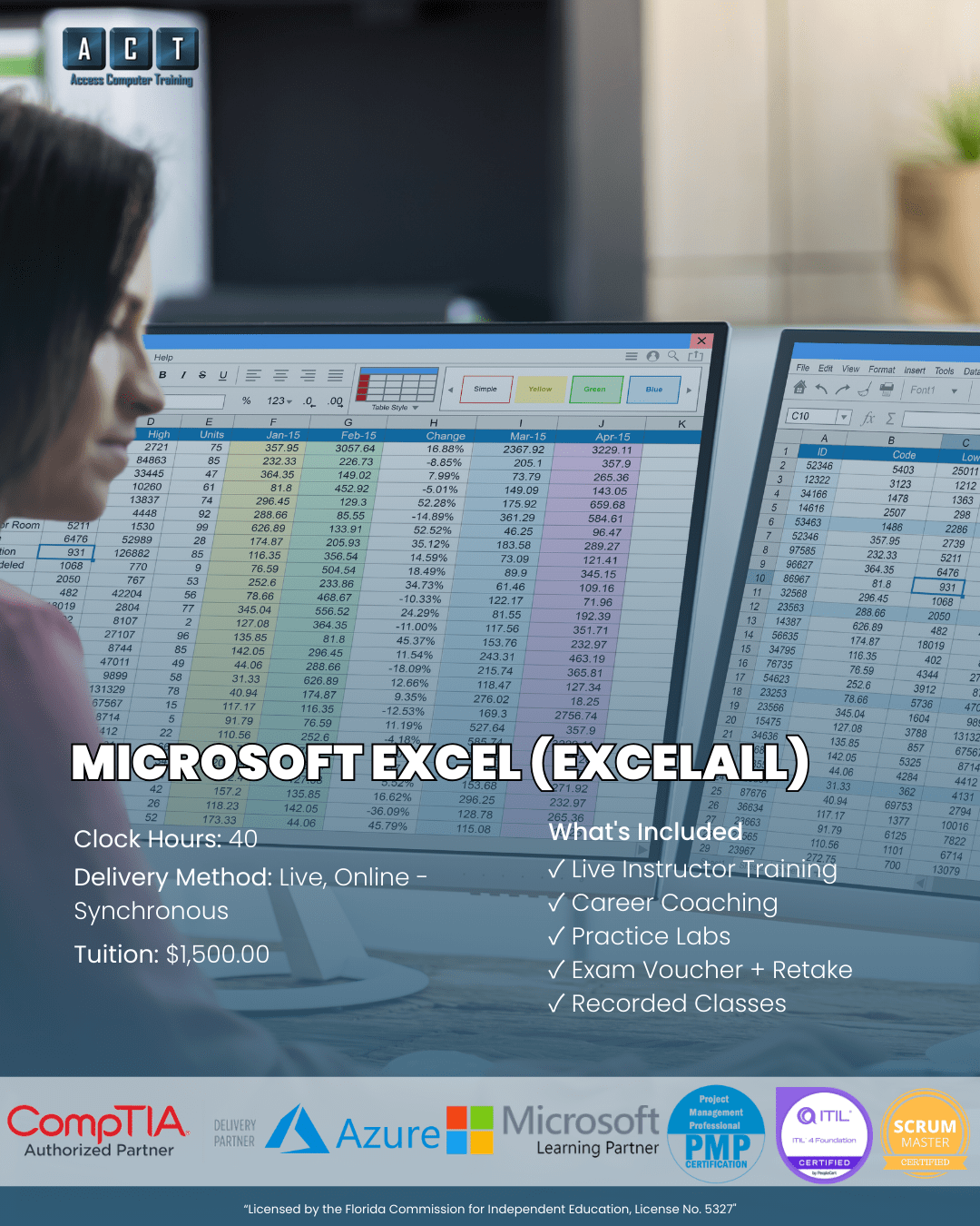 Microsoft Excel course Tampa — ExcelALL program flyer at Access Computer Training
